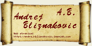 Andrej Bliznaković vizit kartica